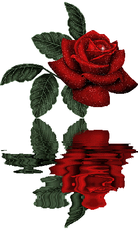 tous amis